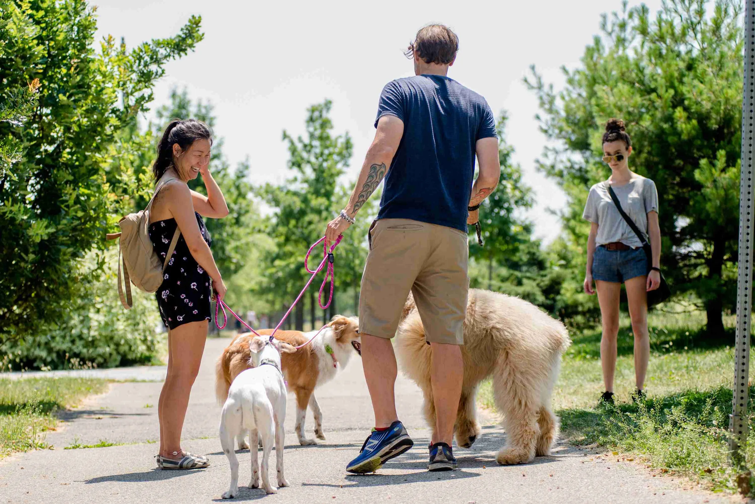 Mark with a client and her two dogs on a park path in Toronto